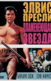 Пламенеющая звезда