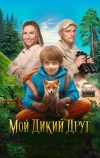 Мой дикий друг