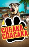 Собака-спасака