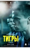 Тигры