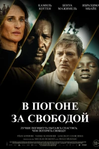 Ни цепей, ни хозяев