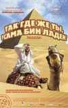 Так где же ты, Усама бен Ладен?