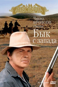 Бык с запада