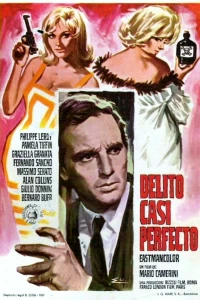 Почти идеальное убийство (1966)
