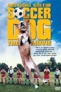 Король футбола (1999)