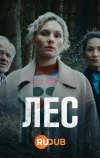 Лес
