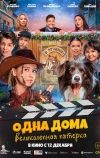 Одна дома. Великолепная пятерка