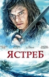 Ястреб