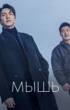 Мышь