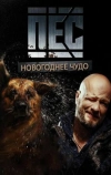 Пёс. Новогоднее чудо